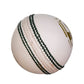 SG Club Cricket White Ball